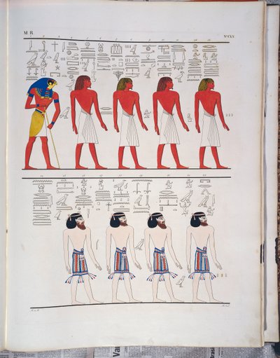 As diferentes espécies de homens conhecidas dos egípcios", retratadas no Túmulo de Menphtah I, ilustração de "Monumentos do Egito e Núbia", de Ippolito Rosellini de Ippolito Rosellini
