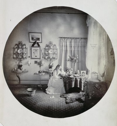 Interior da casa de Muckross, c.1865 (albumen print) de Irish Photographer