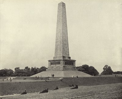 O testemunho de Wellington, Phoenix Park (foto a p/b) de Irish Photographer