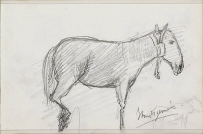 Cavalo de Isaac Gosschalk