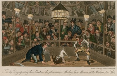 Tom e Jerry ostentando seu contundente sobre o fenômeno Macaco, Jacco Macacco, no Westminster Pit de Isaac, Robert and George Cruikshank