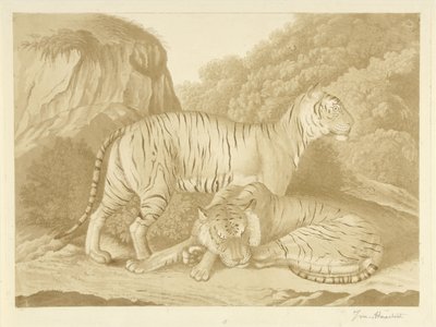 Dois tigres numa paisagem de Isaac van Haastert (signed by artist)