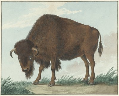 Bisão de Isaac van Haastert