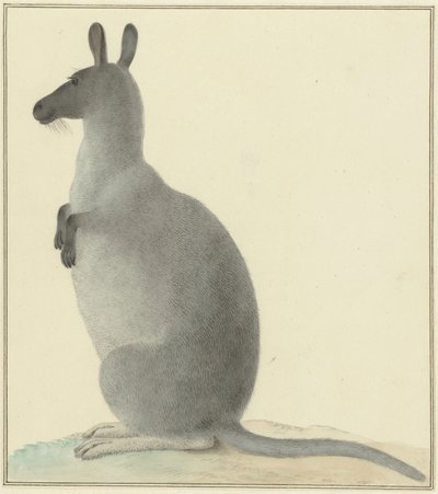 Kangaroo de Isaac van Haastert