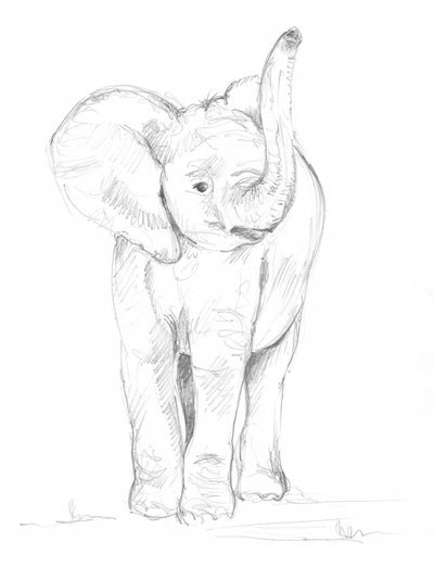 Bebé elefante 02 de Isabelle Brent
