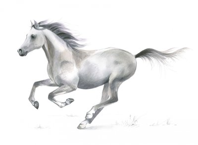 Graça dinâmica de um cavalo a galope de Isabelle Brent
