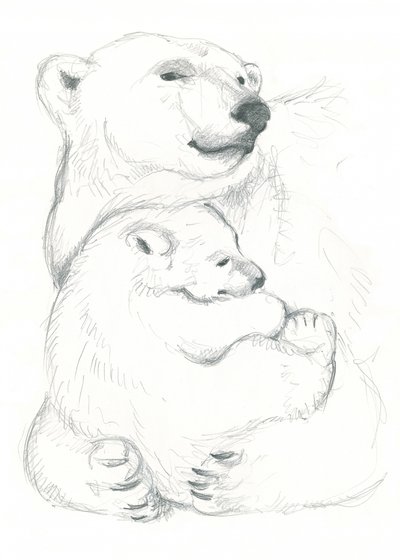 Desenho de urso-polar e cria de Isabelle Brent