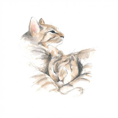 Gatos relaxados de Isabelle Brent