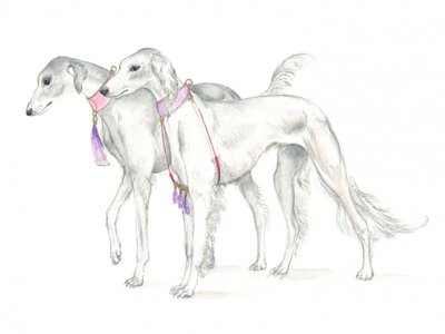 Cães saluki com coleiras delicadas de Isabelle Brent