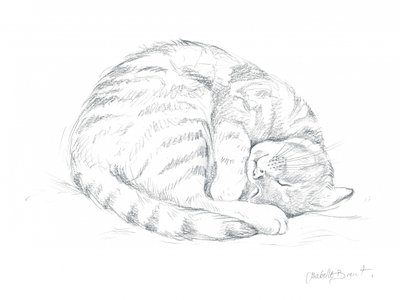  de Isabelle Brent