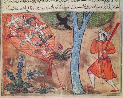 Aves de Caça, de &39;O Livro de Kalila e Dimna&39;, de &39;The Fables of Bidpay&39; de Islamic School