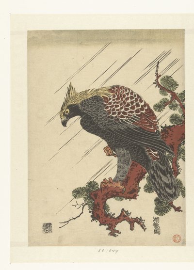 Águia no galho de pinheiro na chuva de Isoda Koryusai
