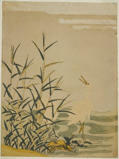 Garças nos juncos de Isoda Koryusai