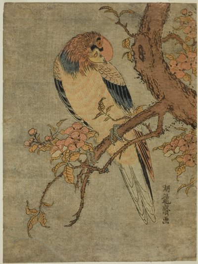 Papagaio na árvore de marmelo de Isoda Koryusai