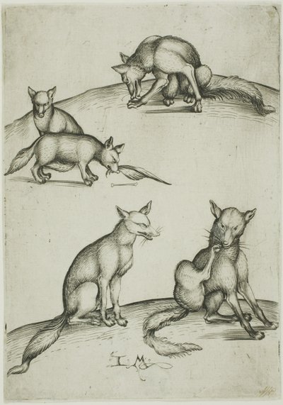 As cinco raposas de Israhel van Meckenem the younger
