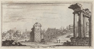 Vacina Veüe du Campo de Israël Silvestre