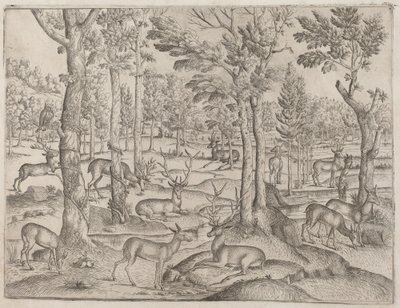 veado na floresta de Italian 16th Century