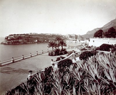 Panorama de Montecarlo. Em primeiro plano, vegetação densa de plantas agave e cactos. de Italian Photographer