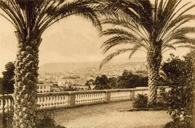 San Remo, Entre as Palmas (foto a p/b) de Italian Photographer