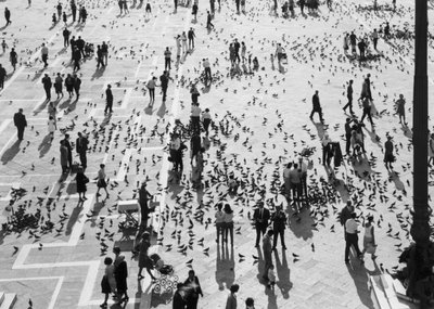 Vista das multidões na Piazza San Marco, Veneza, c.1965 (foto a p/b) de Italian Photographer