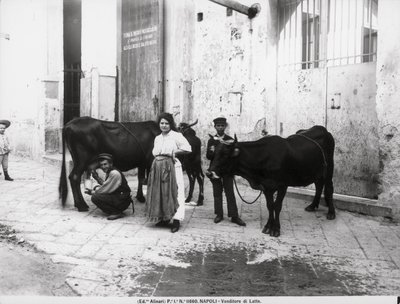 Um vendedor de leite, da Life in Naples de Italian Photographer Italian Photographer