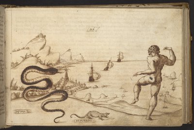Adicionar. 82955, f.115 Serpente (