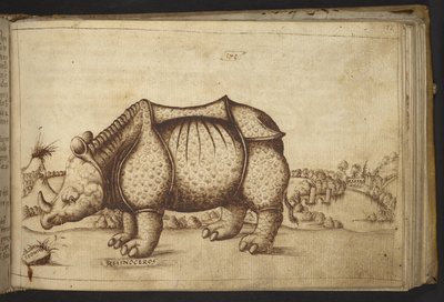 Adicionar. 82955, f.172 Rhinocerous., de Historia Animalium de Italian School