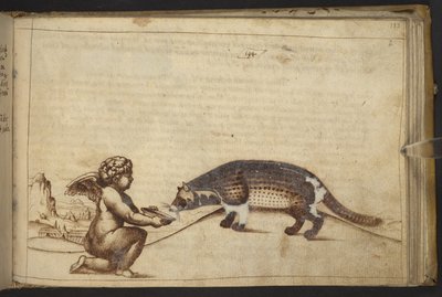 Adicionar. 82955, f.193   Querubim e uma criatura.  , da Historia Animalium, (composto por 245 desenhos a bico de pena de diferentes espécies de animais e criaturas míticas, cada um acompanhado por uma descrição.)    1595 de Italian School