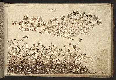 Acrescentar. 82955, f.64 Abelhas ("macacos"), de Historia Animalium, (que consiste em 245 desenhos com caneta e tinta de diferentes espécies de animais e criaturas míticas, cada um acompanhado de uma descrição) 1595 de Italian School