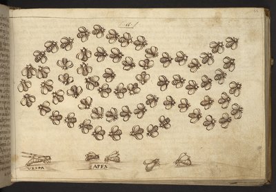 Acrescentar. 82955, f.65 Abelhas ("macacos"), de Historia Animalium, (que consiste em 245 desenhos com caneta e tinta de diferentes espécies de animais e criaturas míticas, cada um acompanhado de uma descrição) 1595 de Italian School