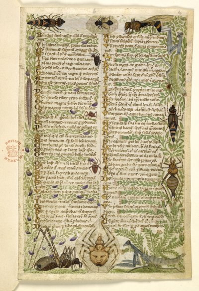 Adicionar MS 28841 f.006r Folhas de um tratado em prosa sobre os Sete Vícios e um verso sobre eventos da história da Sicília no tempo de Frederico II, de Cocharelli, c.1330-40 de Italian School