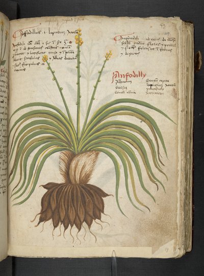Adicionar MS 41623 