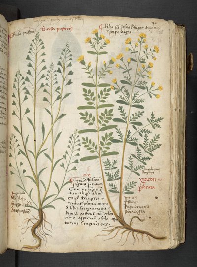 Adicionar MS 41623 