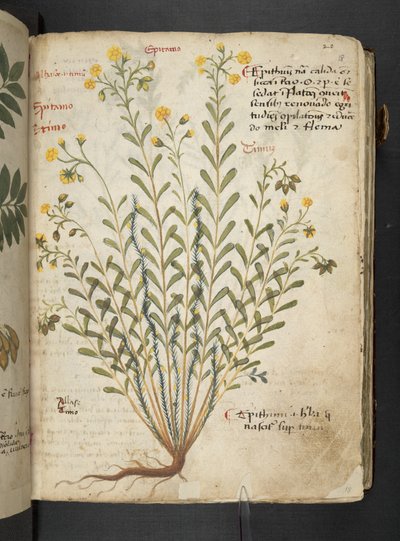 Adicionar MS 41623 