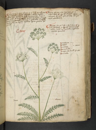 Adicione MS 41623 