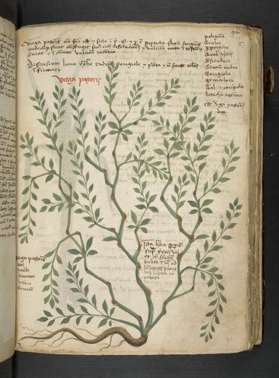 Adicione MS 41623 