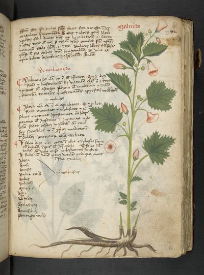 Adicionar MS 41623 