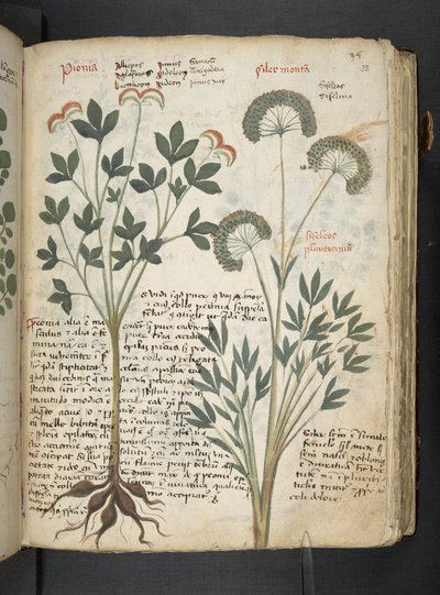 Adicionar MS 41623 