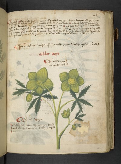 Adicione MS 41623 