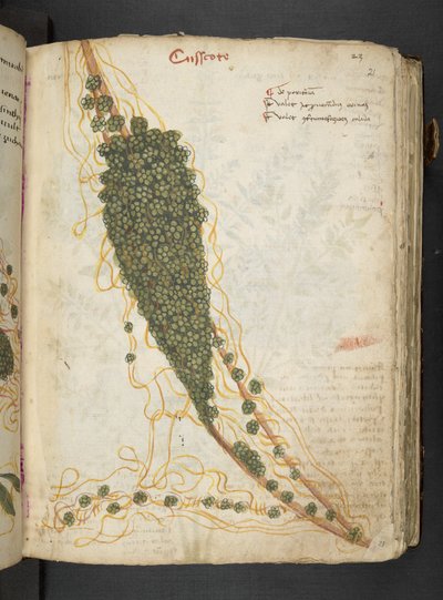 Adicione MS 41623 