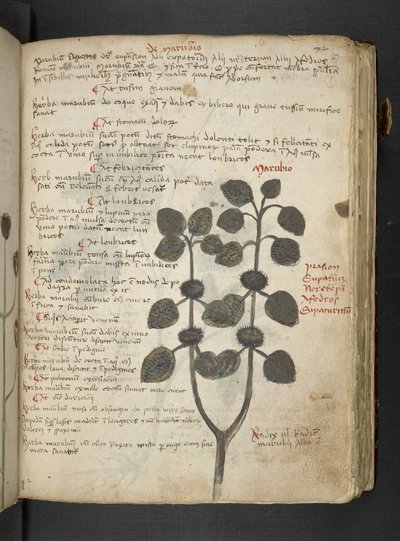 Adicione MS 41623 
