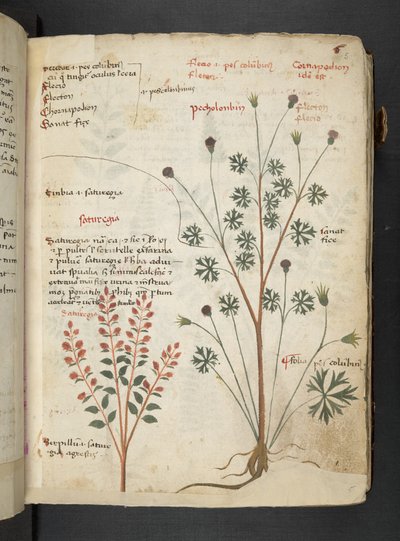 Adicionar MS 41623 