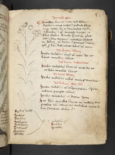 Adicionar MS 41623 