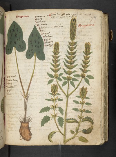 Adicionar MS 41623 