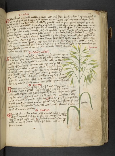 Adicionar MS 41623 