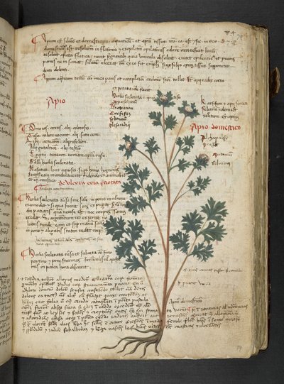 Adicione MS 41623 