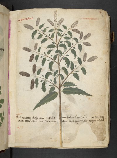 Adicionar MS 41623 