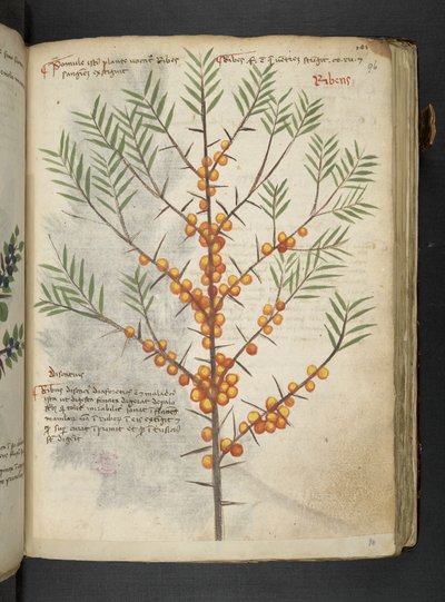 Adicionar MS 41623 