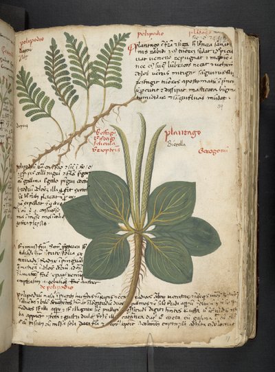 Adicionar MS 41623 