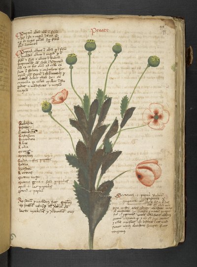 Adicionar MS 41623 